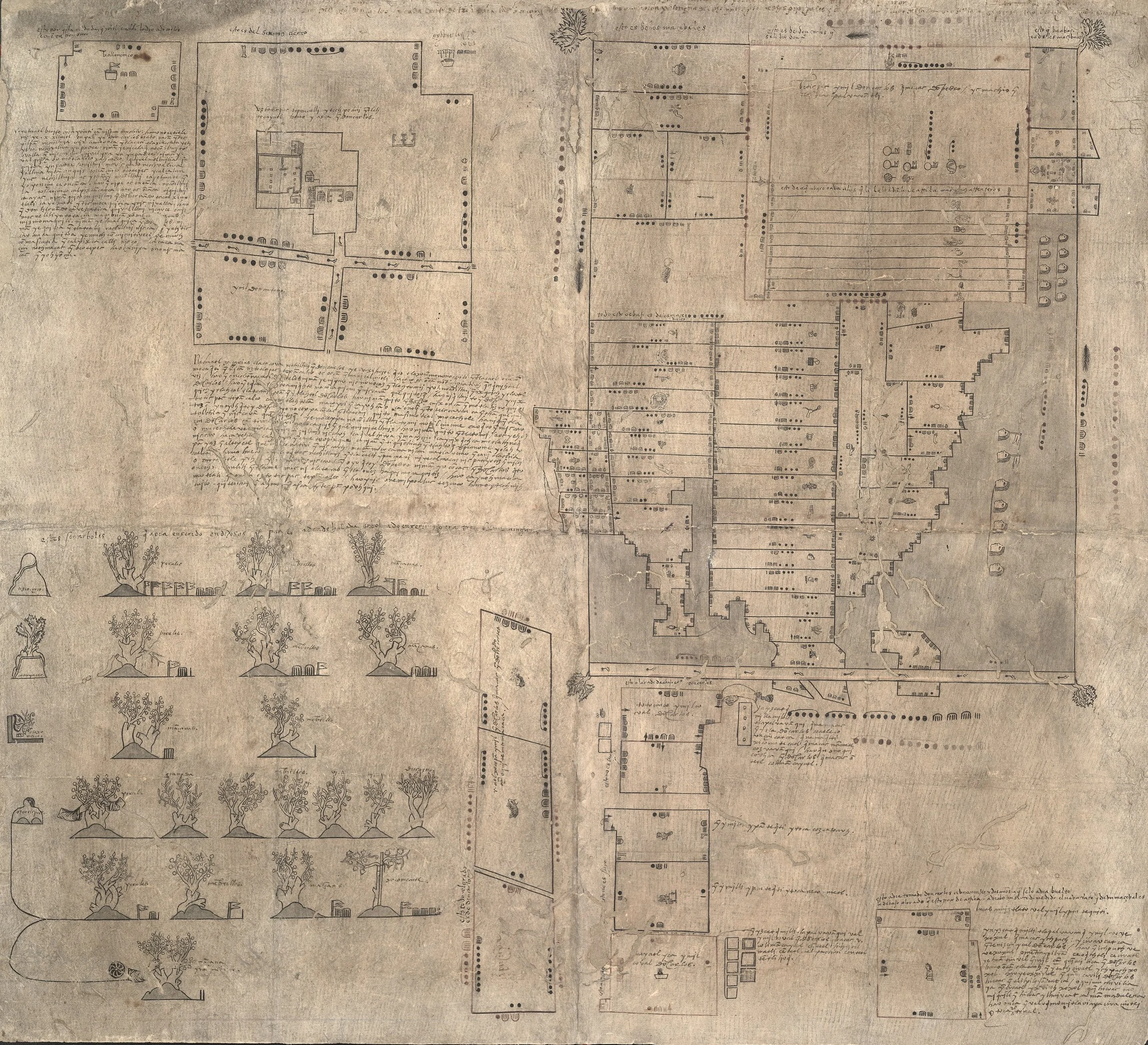 Mapa de Oztoticpac, hacia 1540: casas en un recinto arriba a la izquierda, más de 75 parcelas con glifos y medidas a la derecha y árboles frutales injertados abajo a la izquierda