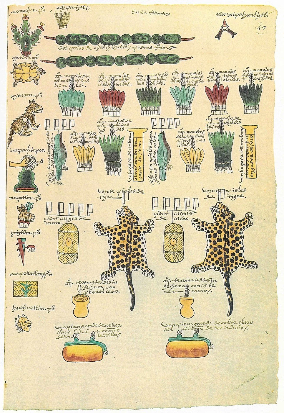 Códice Mendoza, folio 47r, provincia de Xoconochco