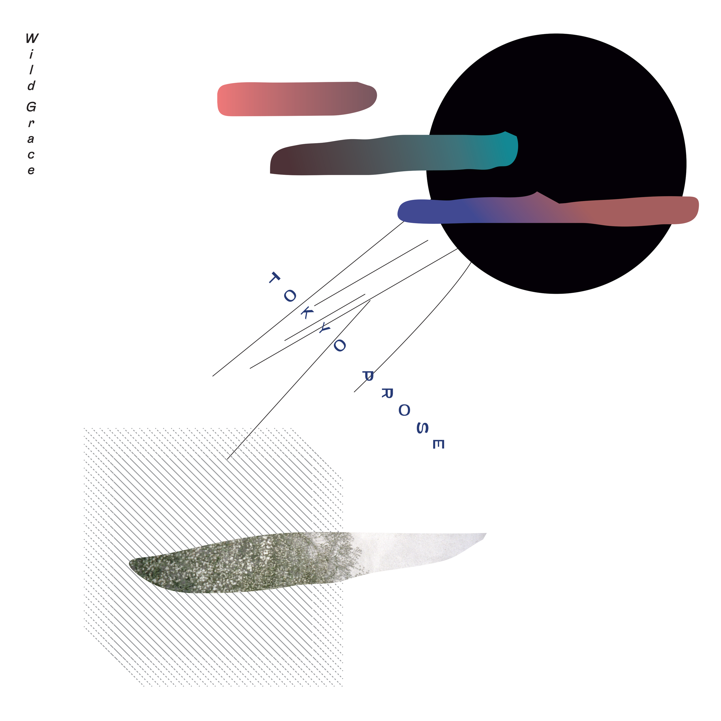 TNQ007.png