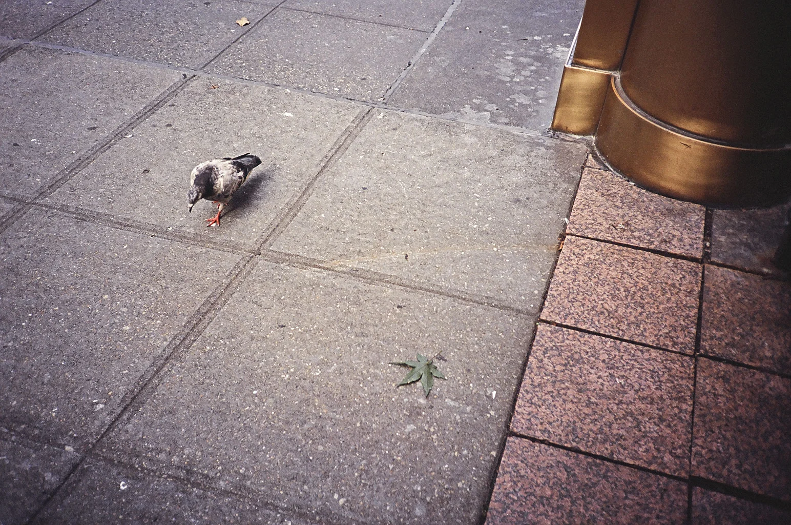 Manhattan, 2014
