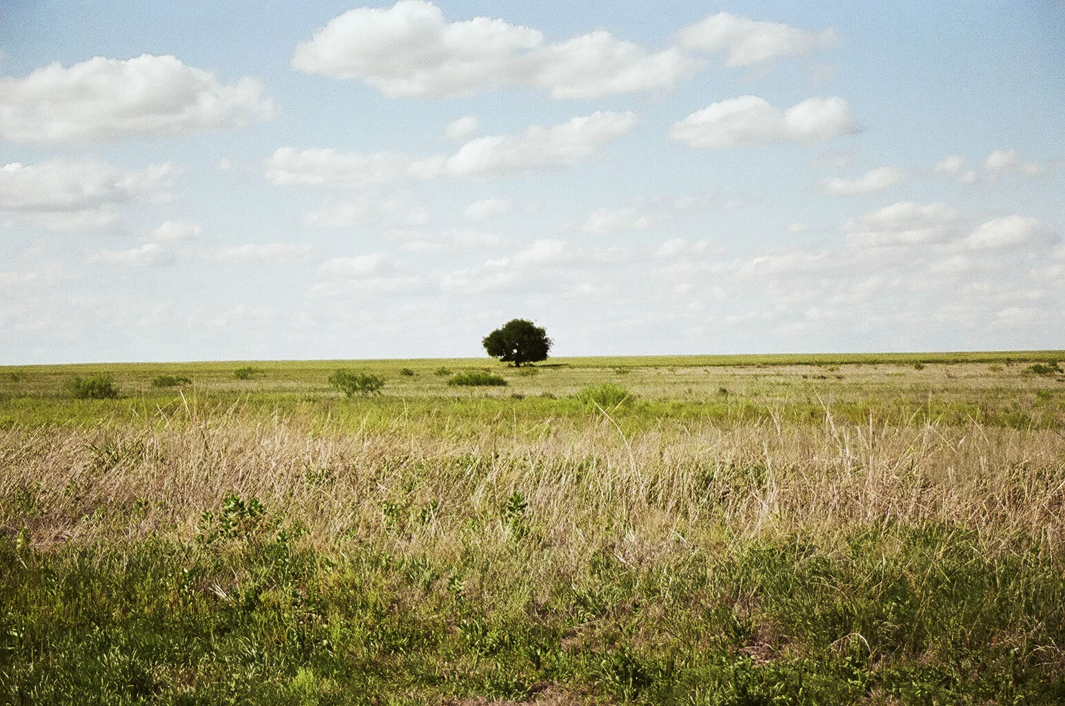 Nebraska, 2013