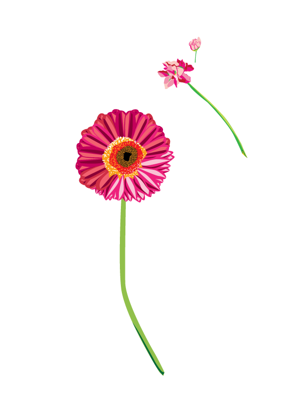 PinkFlowerWEB.png