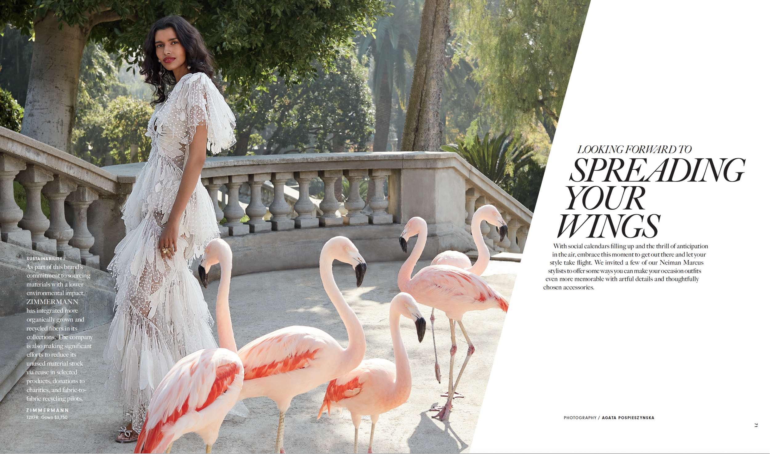 Screen Shot 2023-01-17 at 3.27.26 PM.png