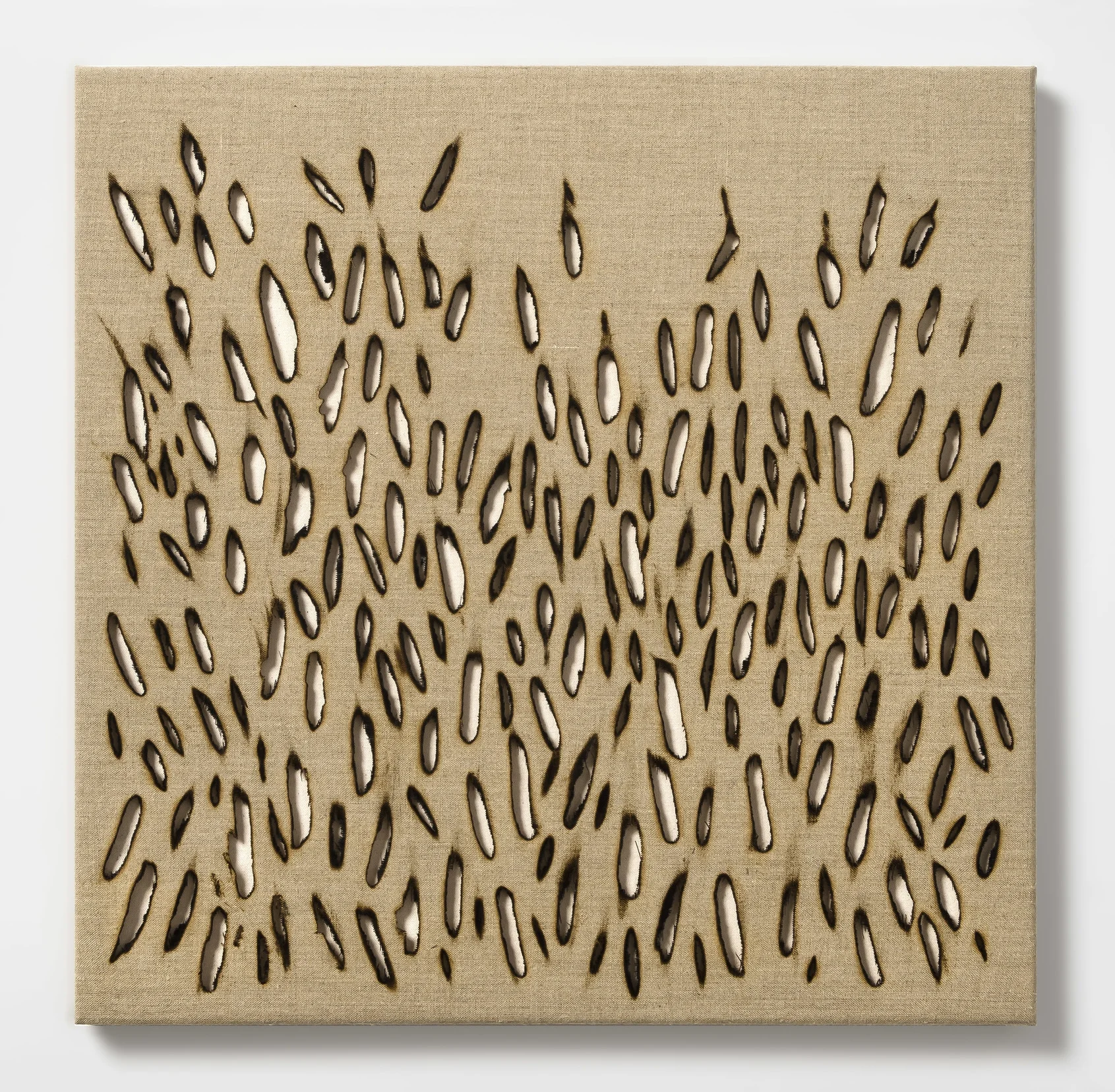  Skin 3, 2015 torched linen over canvas 24" x 24" 