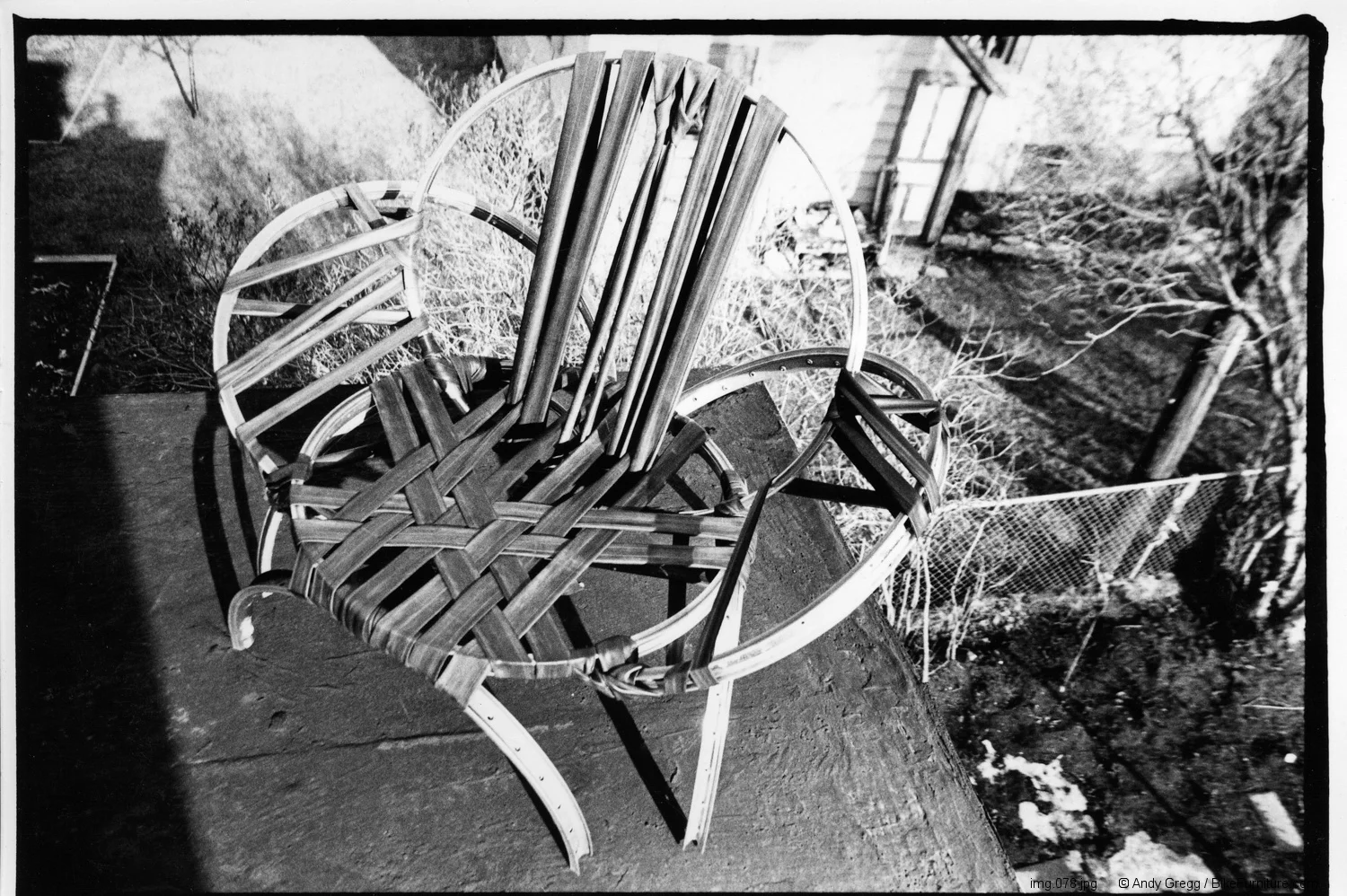 Bike wheel chair #2