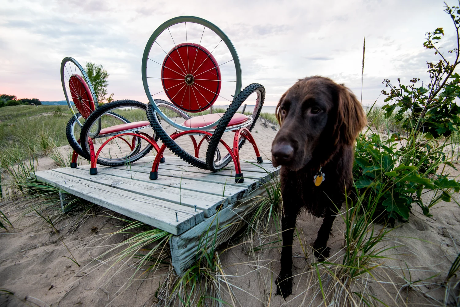 A couple of Vector Lounge Chairs that have spent most of the last 13 years on the beach on Lake Superior. They have held up well. Hi Penny!