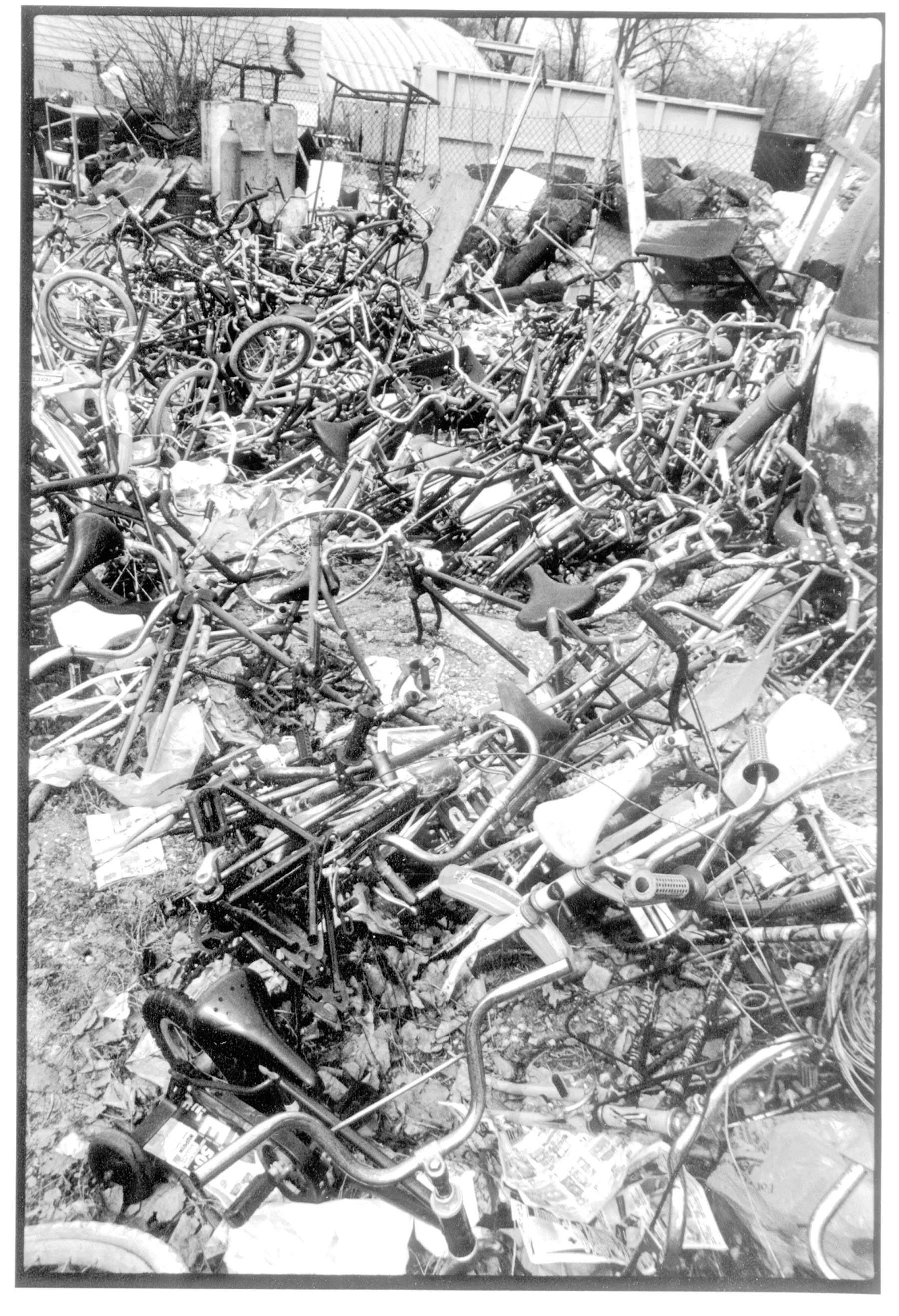 bike pile book2.jpg