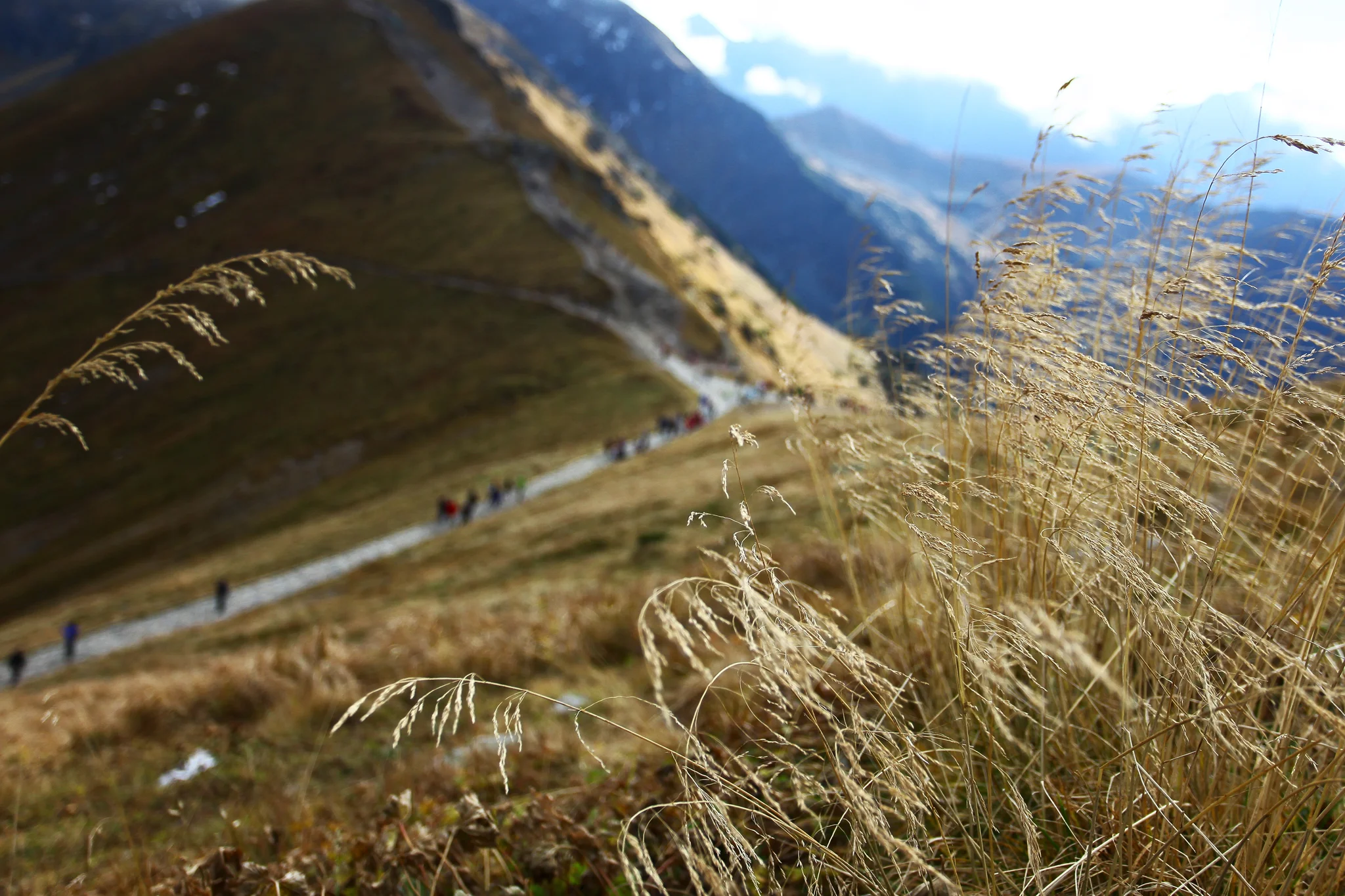 kbiernacka_IMG_1421.JPG
