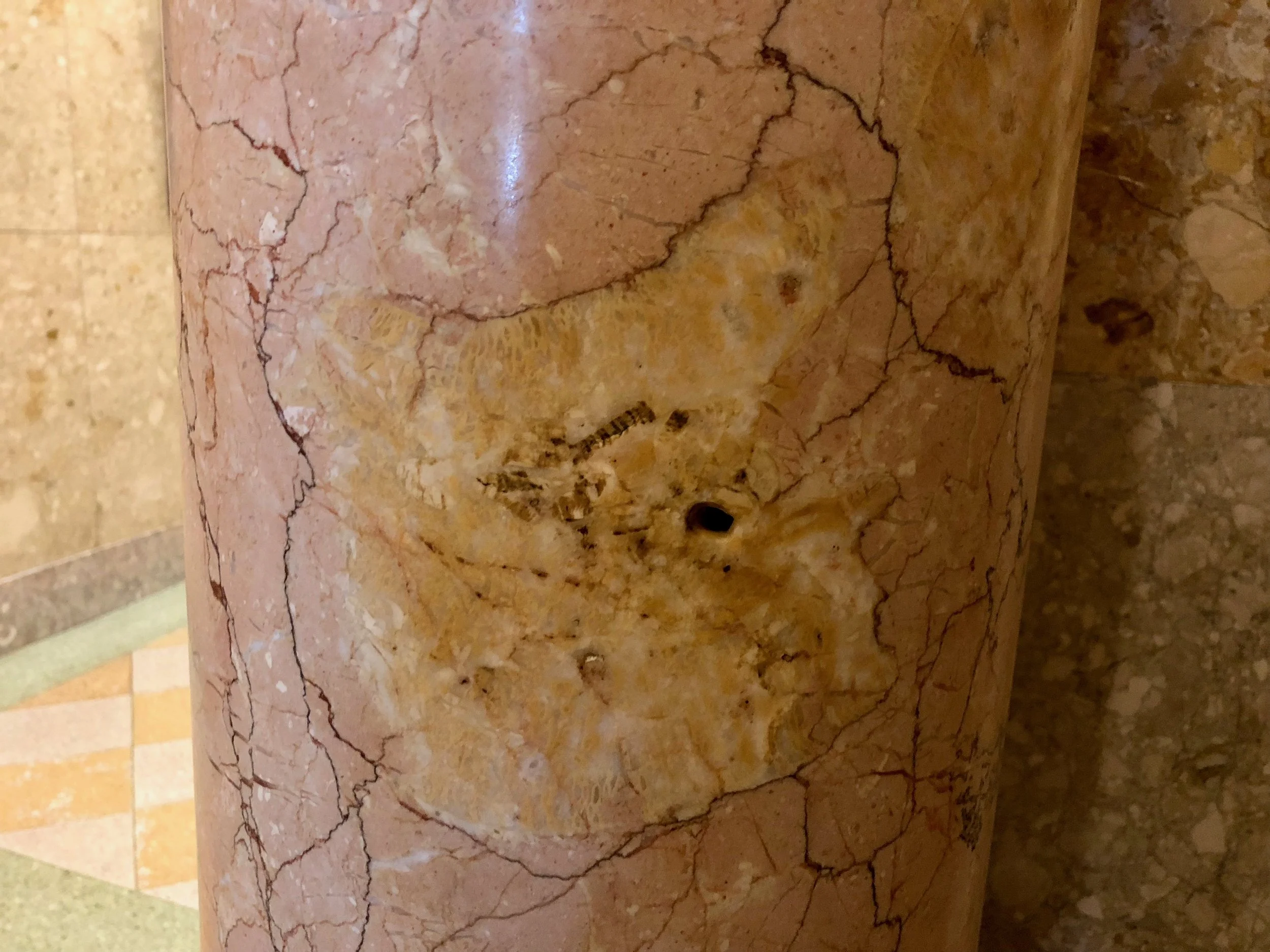 the bullet that did not kill huey long