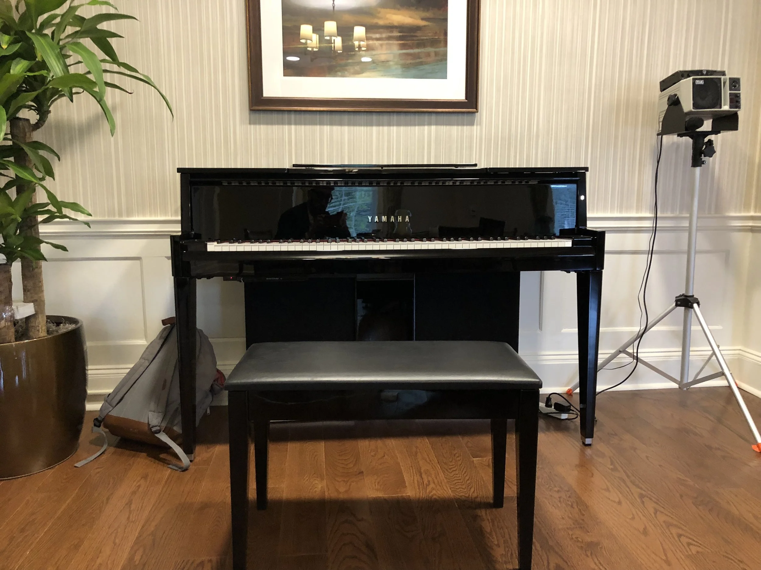 this calls for a piano whisperer