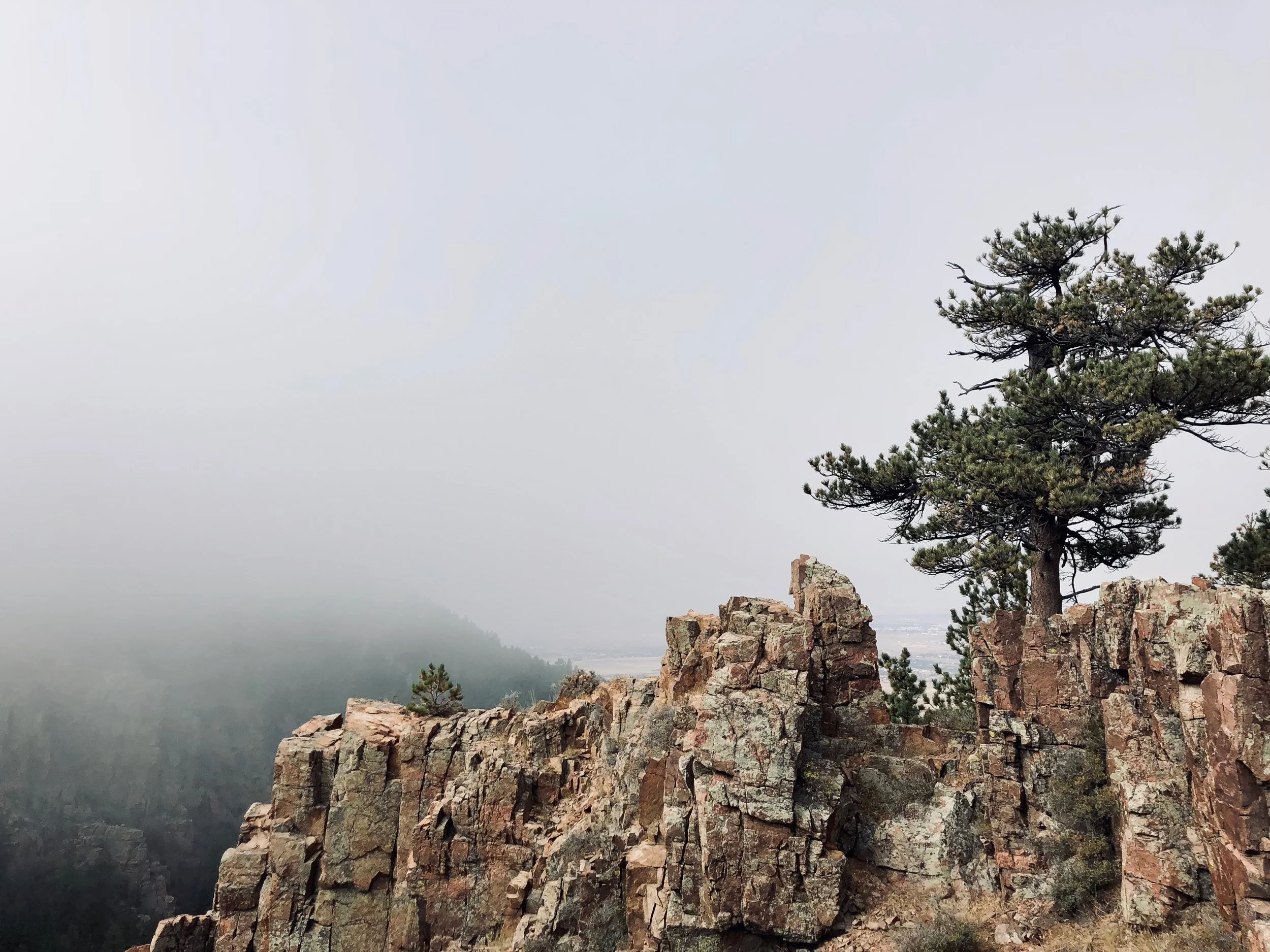 eventually the mist cleared