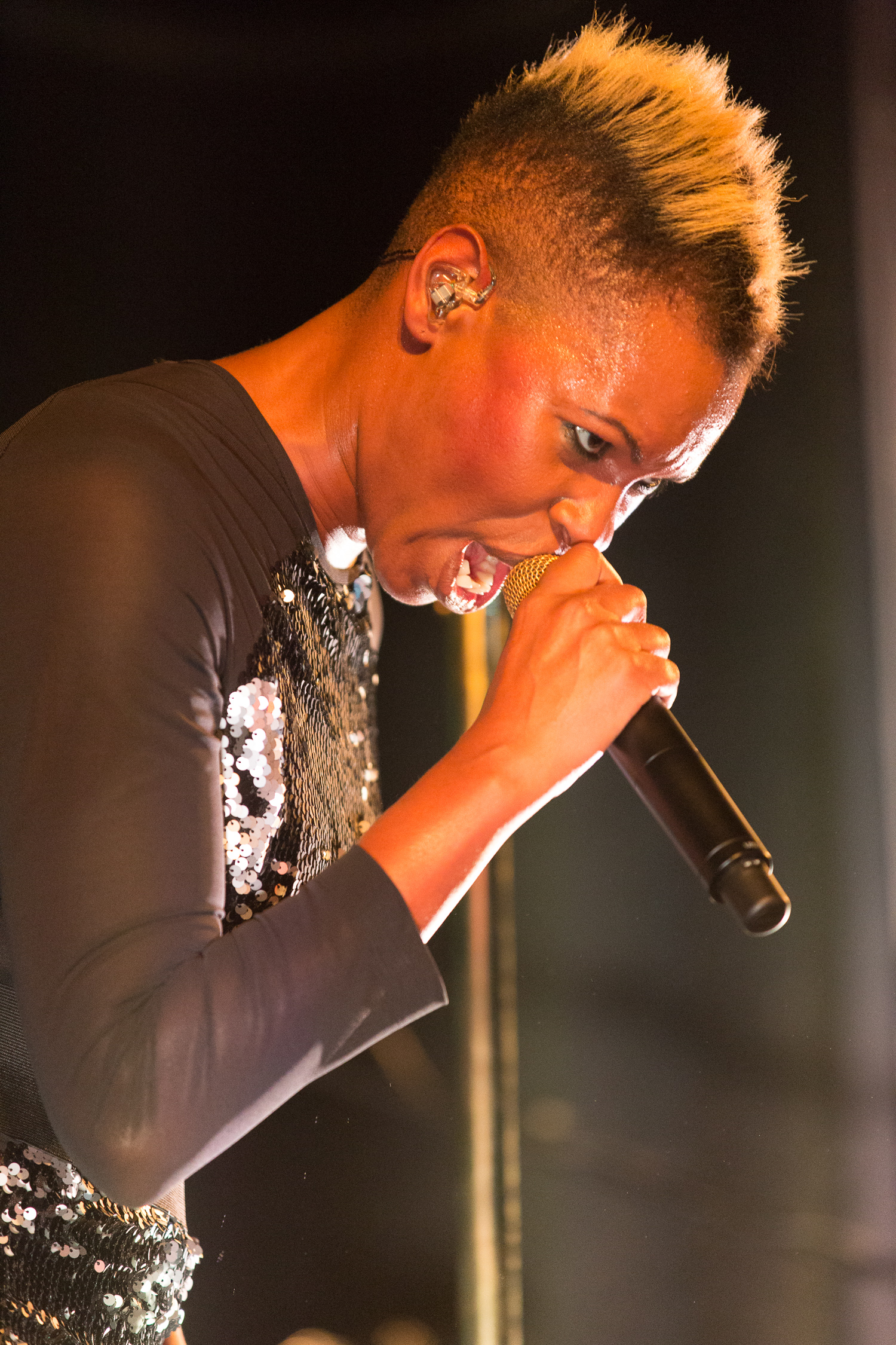 Skunk Anansie