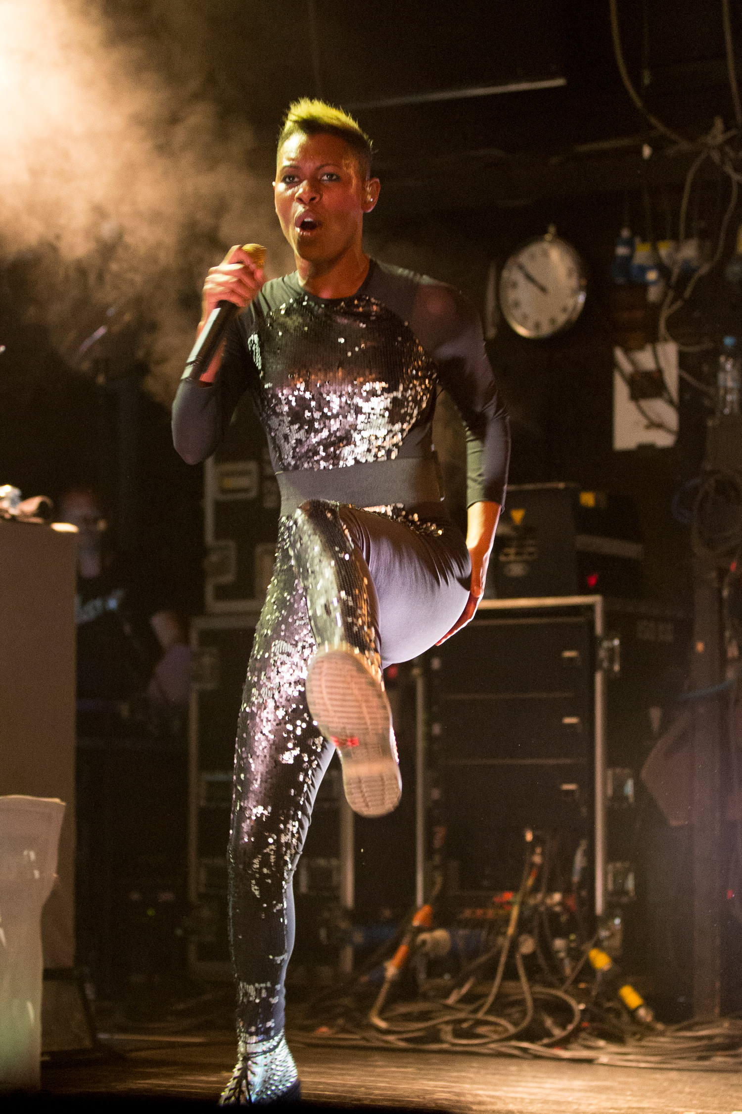 Skunk Anansie