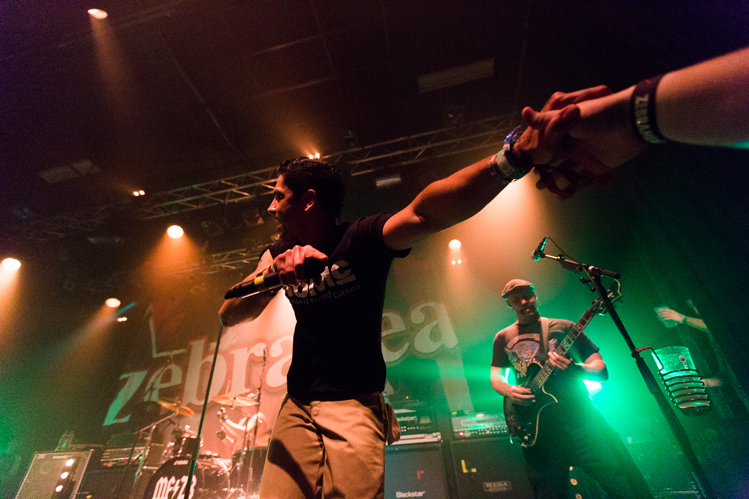 Zebrahead