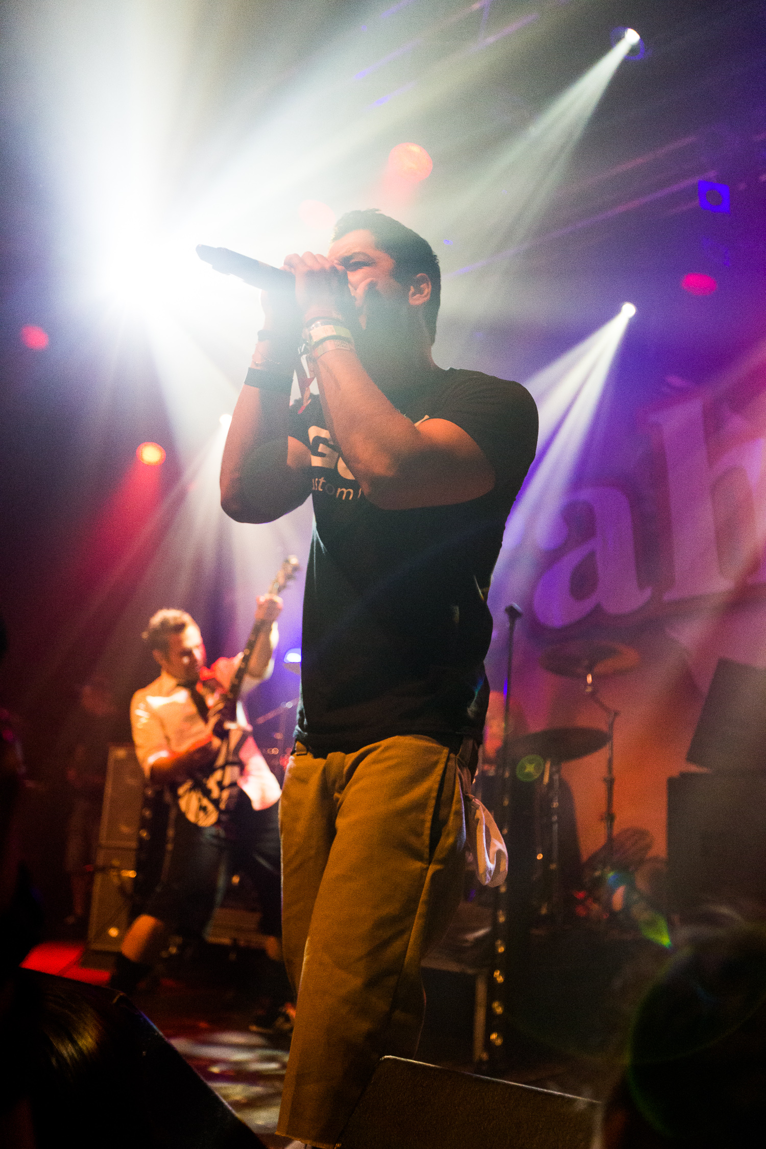 Zebrahead