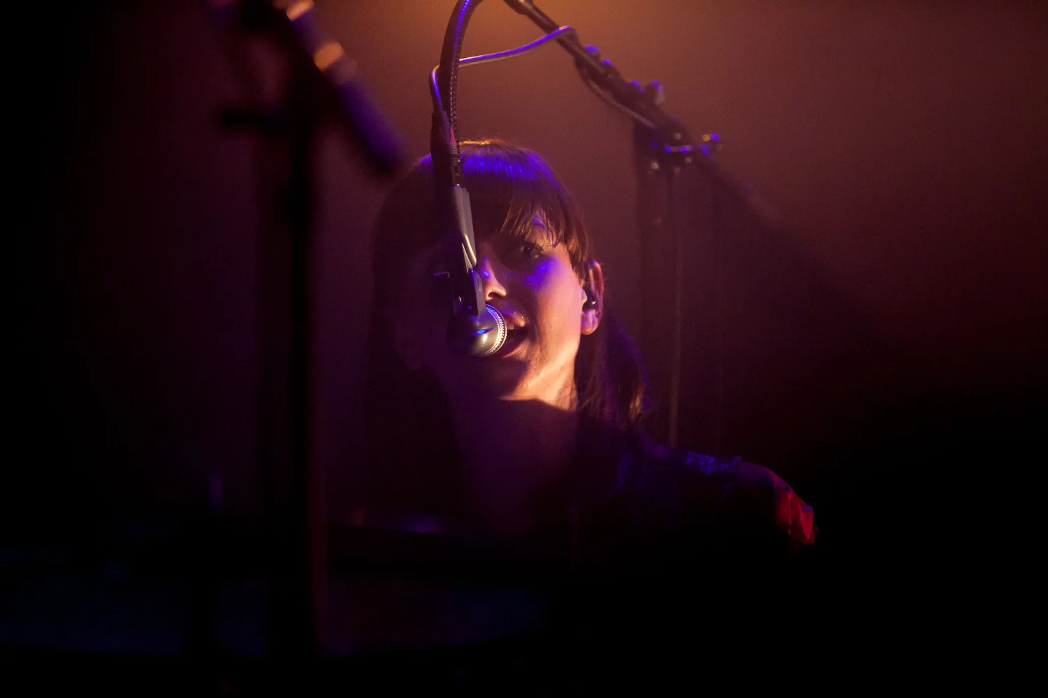 Bombay Show Pig - Paradiso