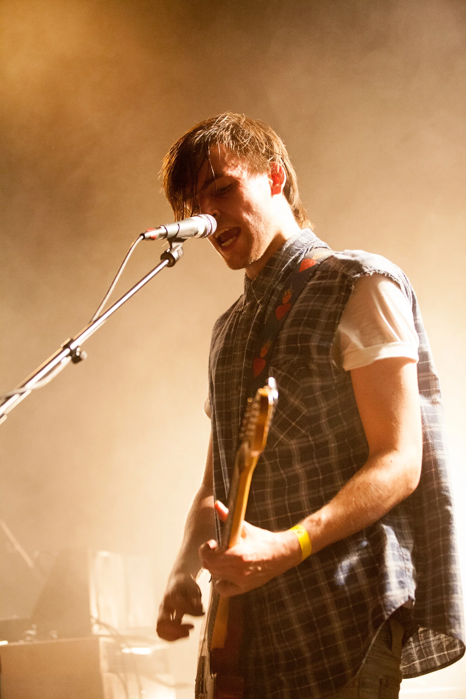 Bombay Show Pig - Paradiso