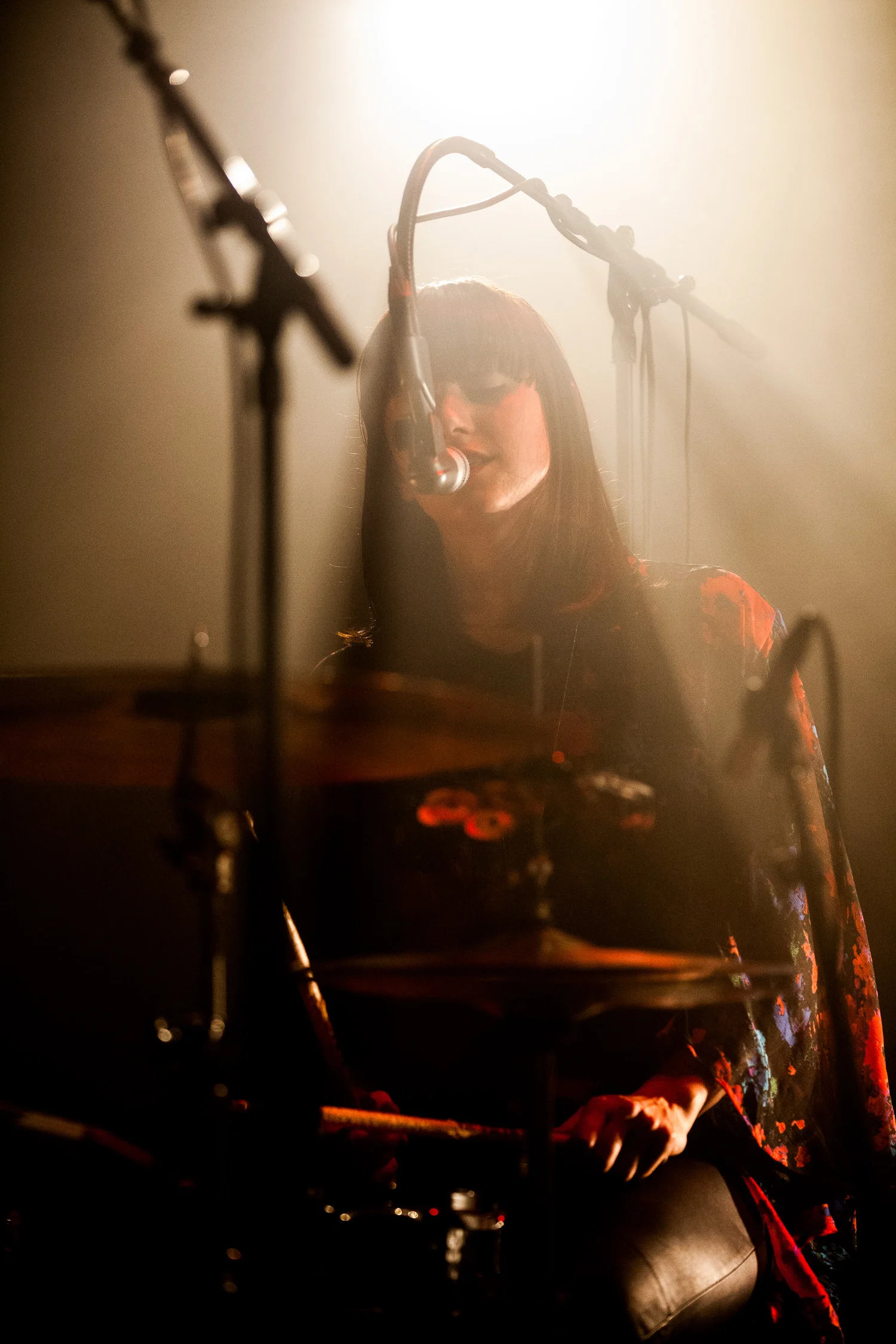Bombay Show Pig - Paradiso