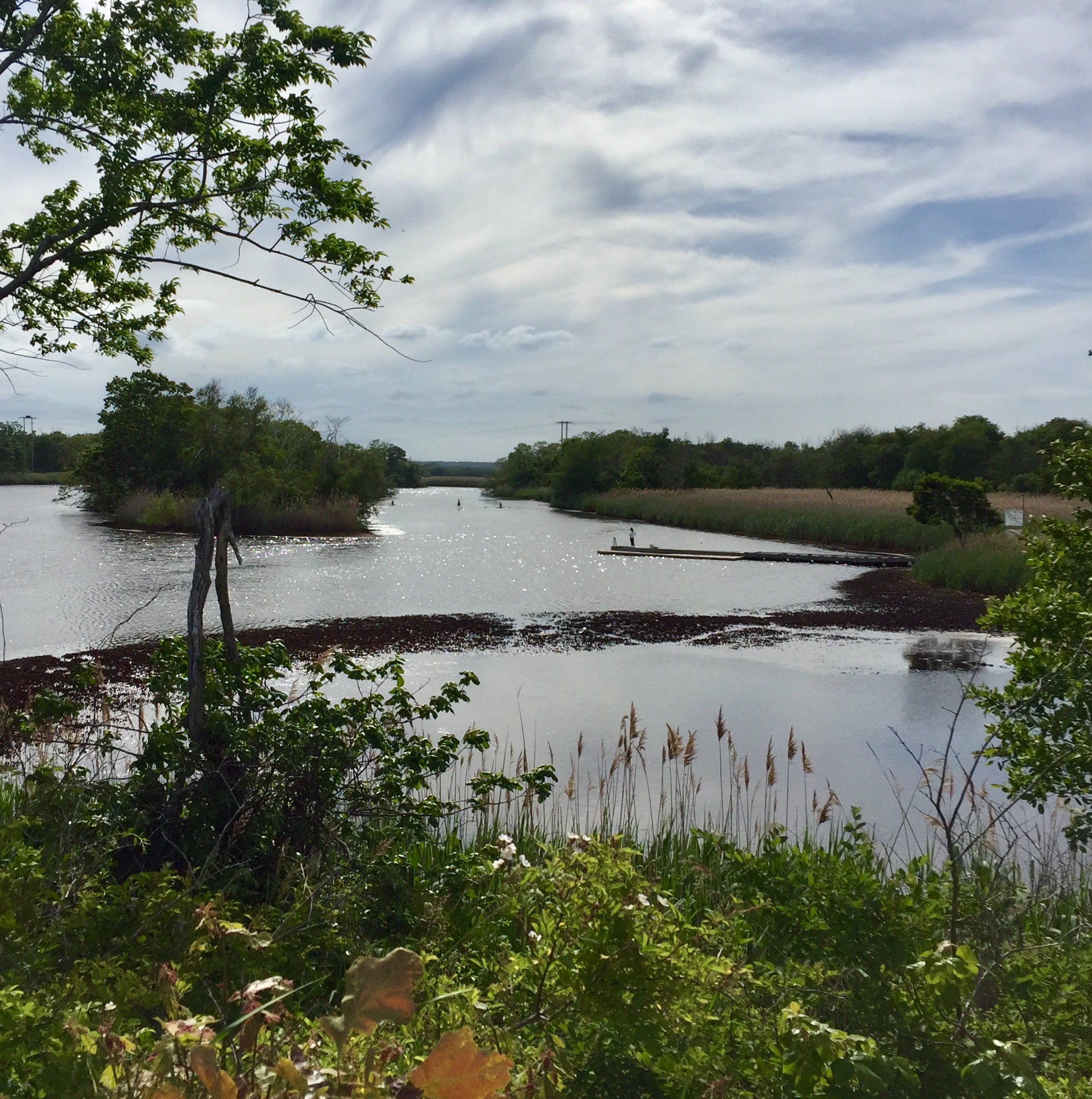 Green Harbor RIver @ Igo 3.jpg