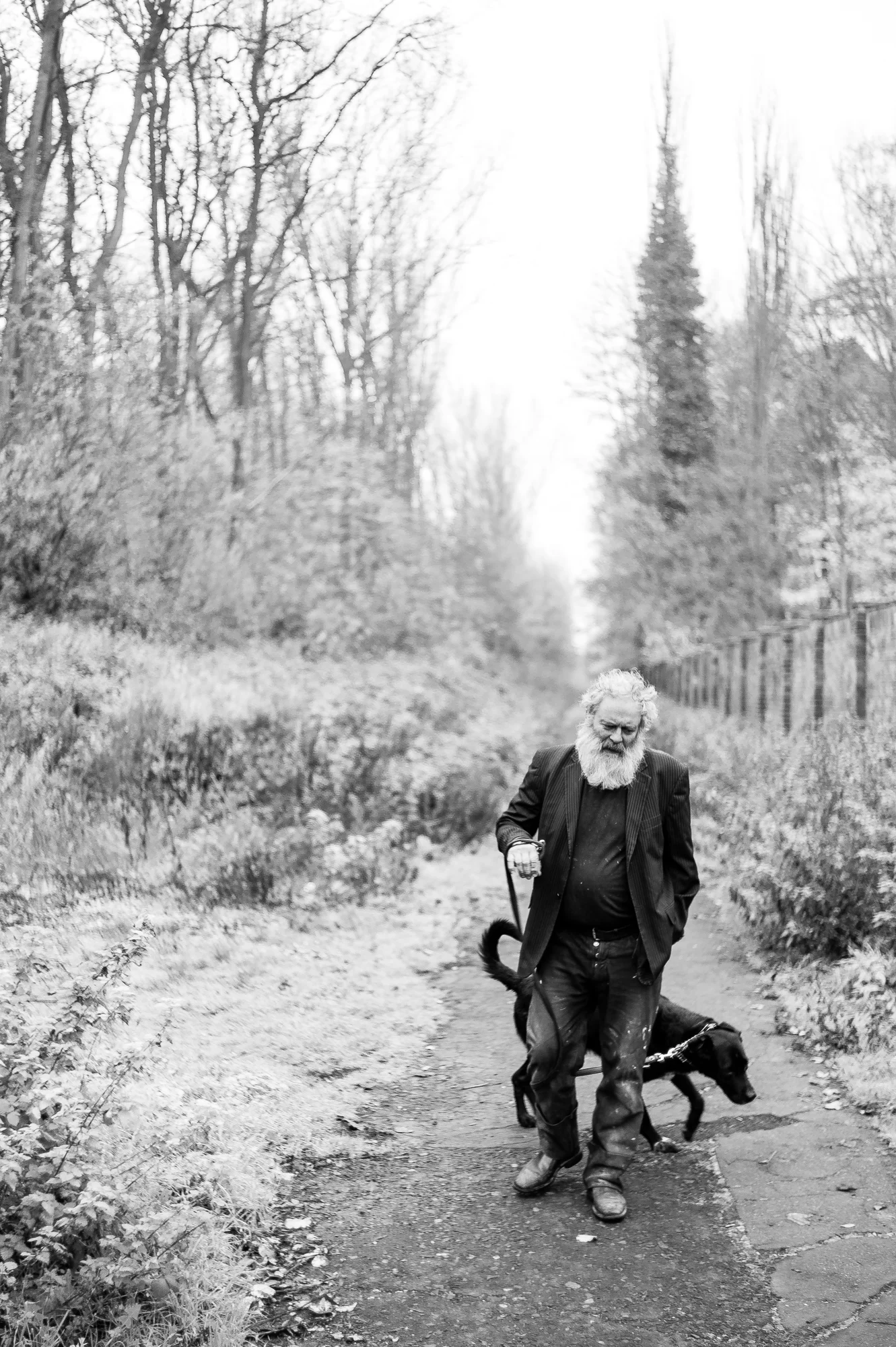 Denis Stuart Rose visual artist // website