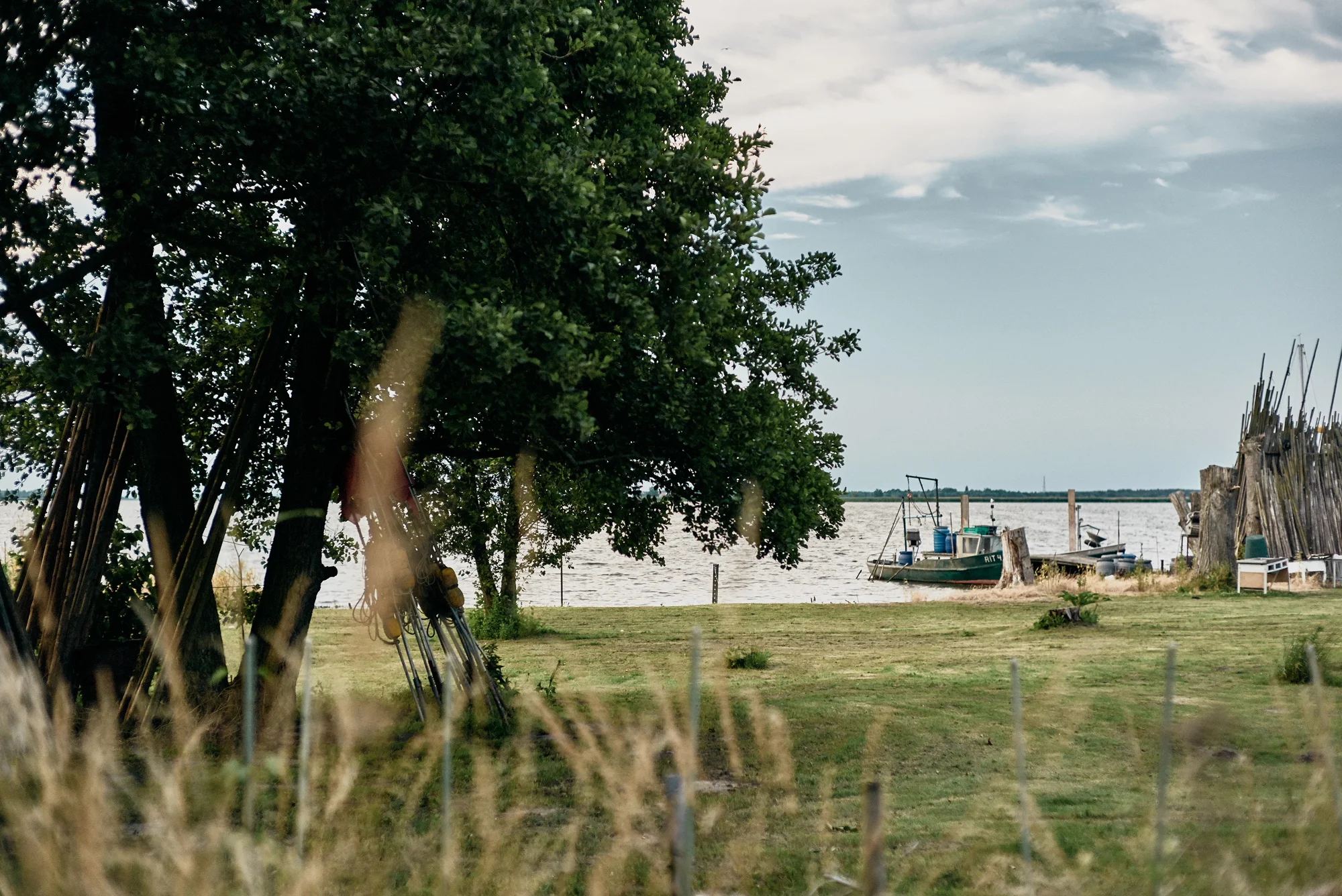 Fischeinkaufsführer für Mecklenburg-Vorpommern
