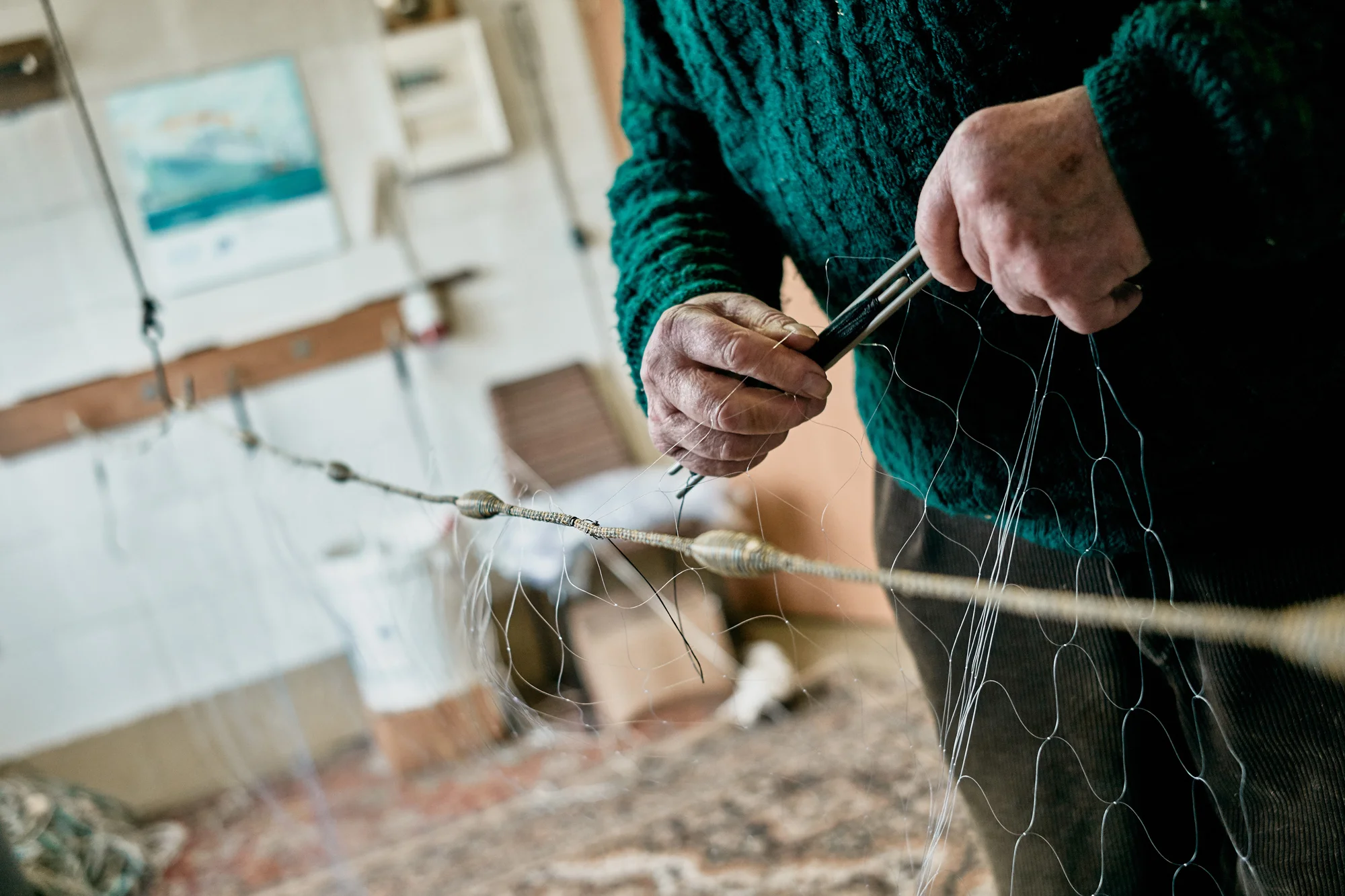 Fischeinkaufsführer für Mecklenburg-Vorpommern