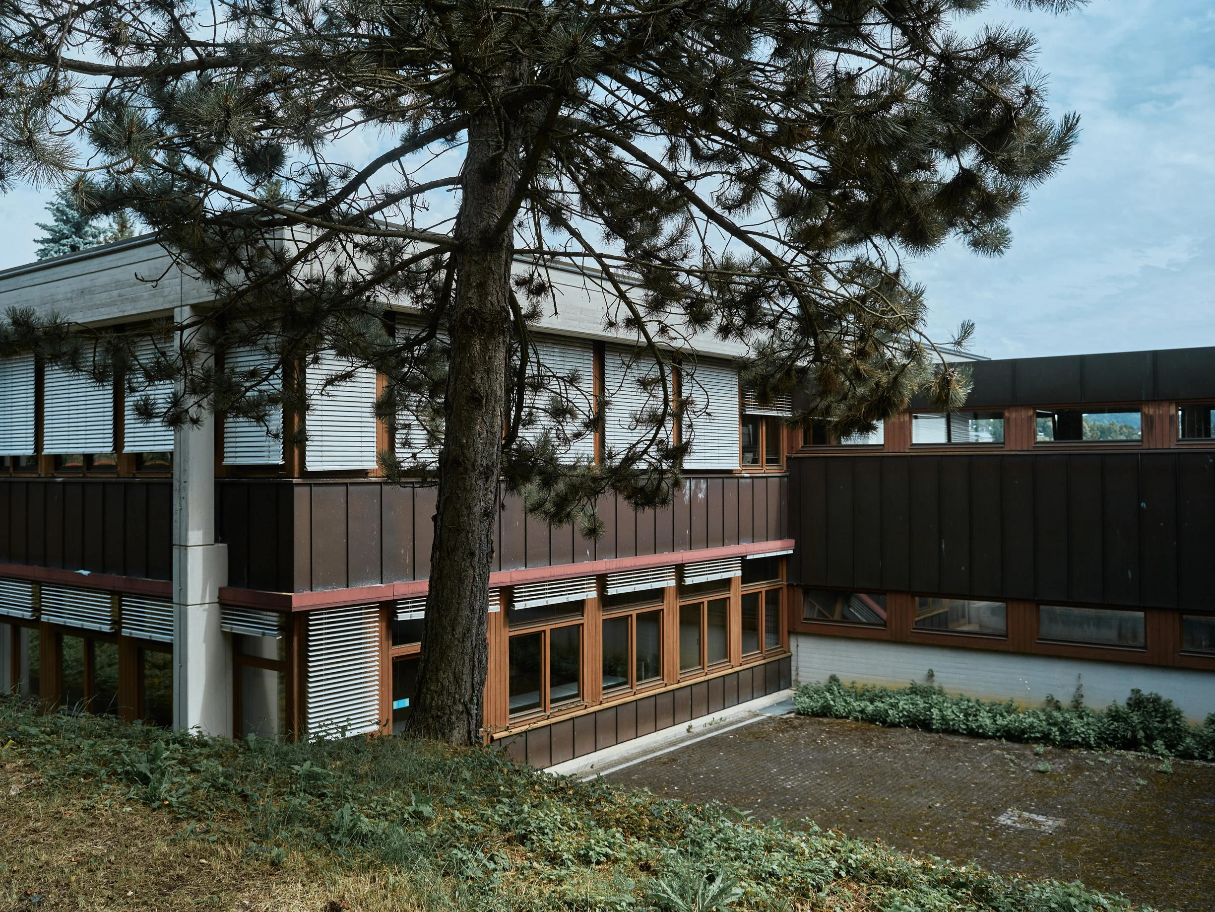 Tod im Paradies In der Alice-Salomon-Schule in Hechingen lernen Flüchtlinge Deutsch. Mehari war ein Träumer und schaute lieber aus dem Fenster. Er wollte Kühe hüten.