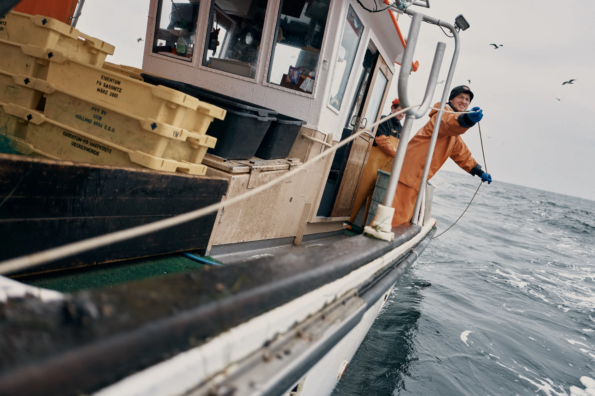 Fish Markets Kampagne für die WFG Vorpommern