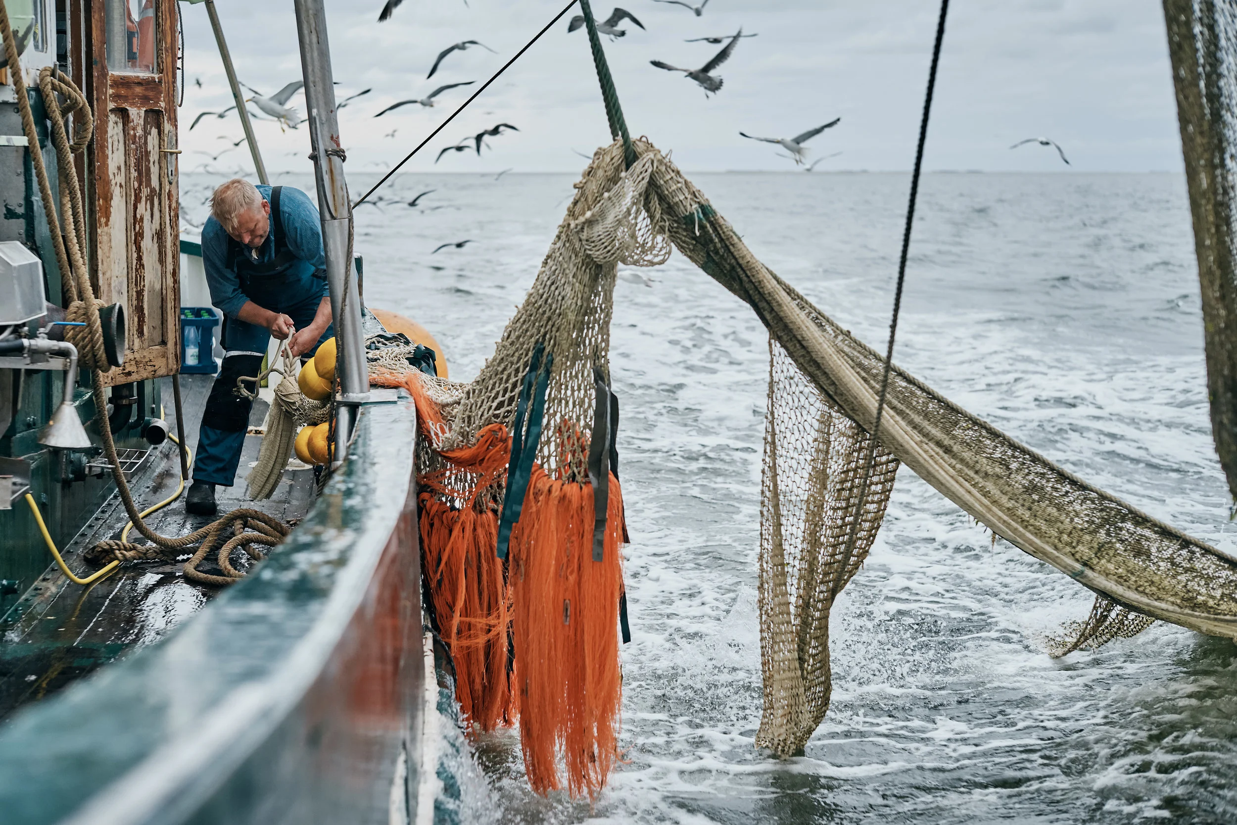 Die Wattenmeerkrabbe Kampagne für die Erzeugergemeinschaft Küstenfischer der Nordsee