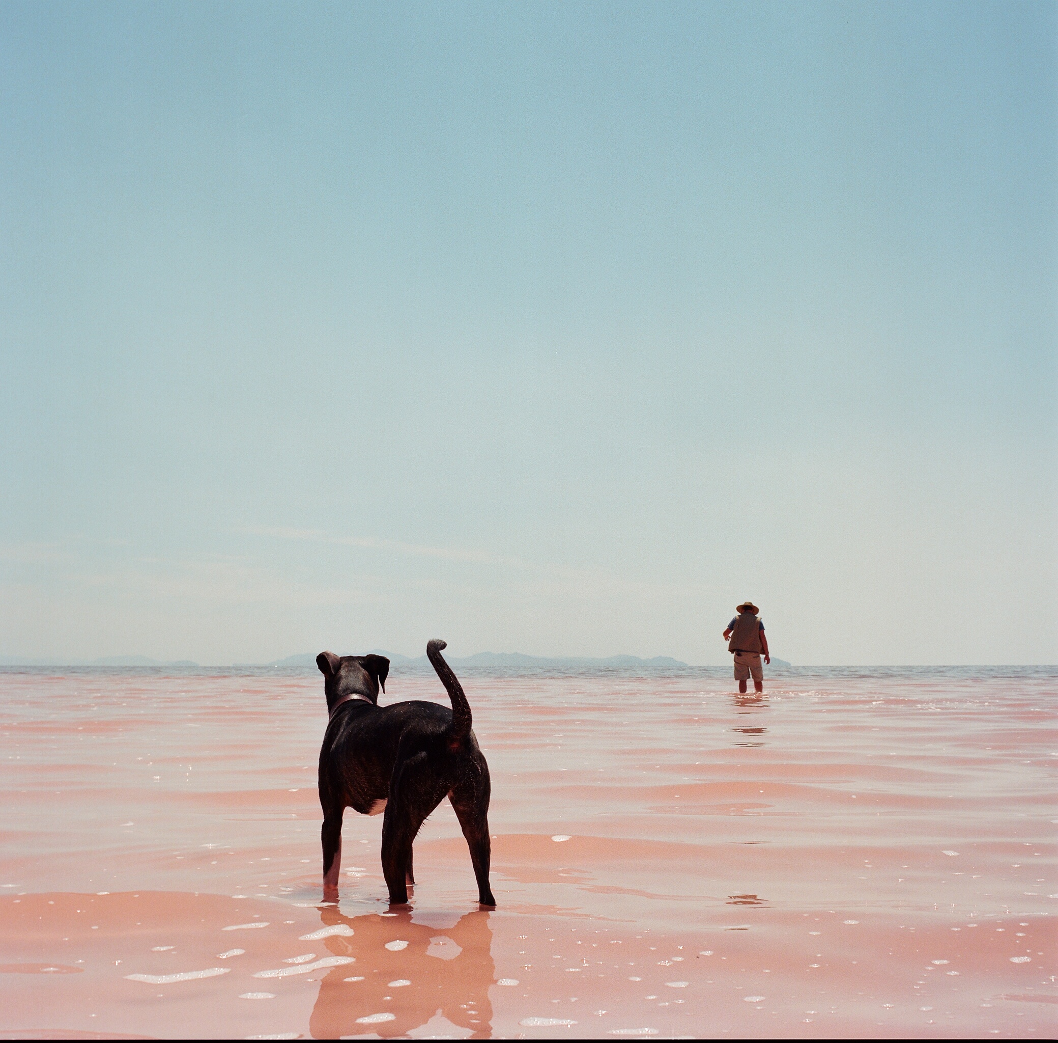 Soleil in the The Great Salt Lake, Utah