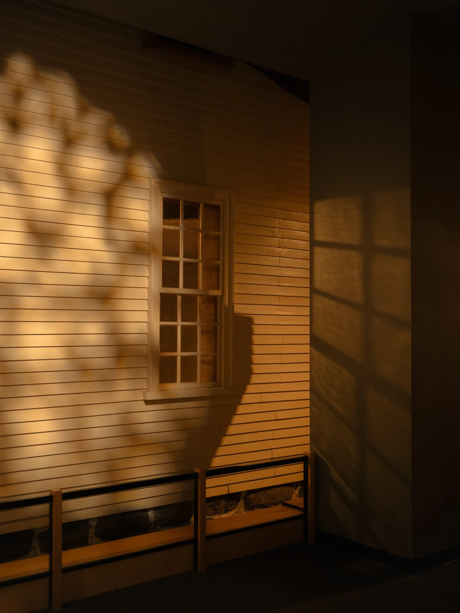 Photograph from the personal series No One Lives Here, by Jack Sorokin. Image 3.