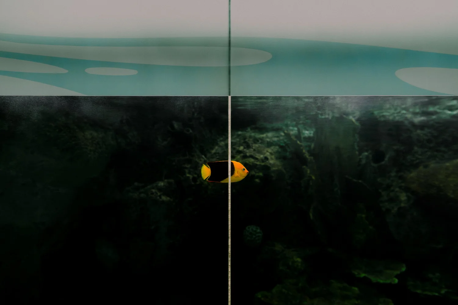 Photograph from the personal series No One Lives Here, by Jack Sorokin. Image 5.
