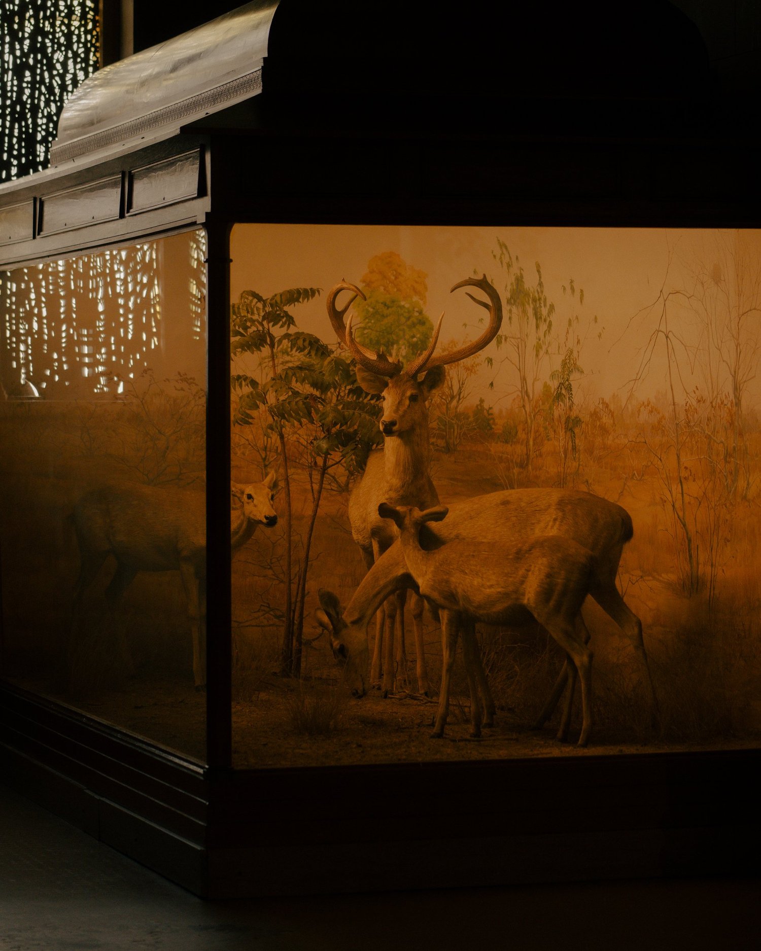 Photograph from the personal series No One Lives Here, by Jack Sorokin. Image 2.