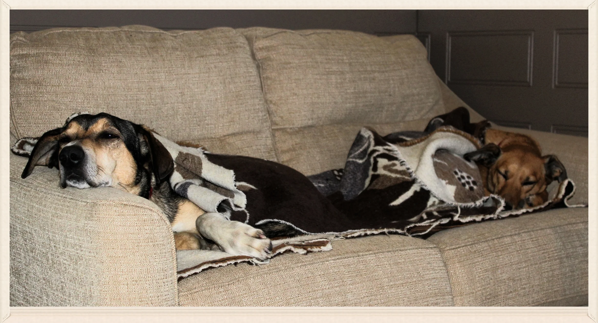 Consider relocating your dog’s bed to a low-traffic area or out-of-the-way nook, as long as he’s comfortable and happy with the switch.