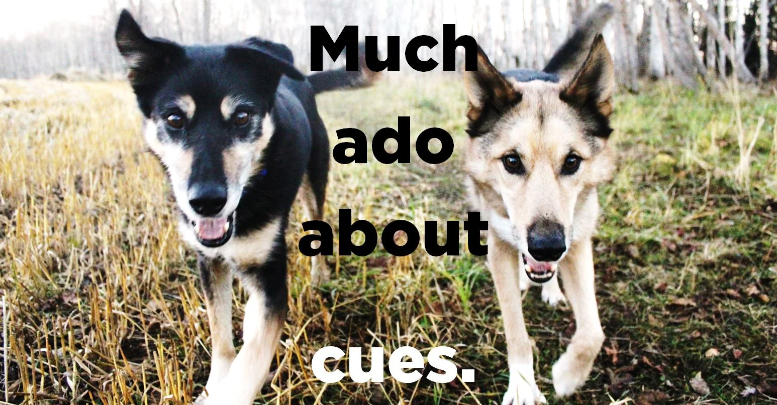 Mind your Ps and Cues