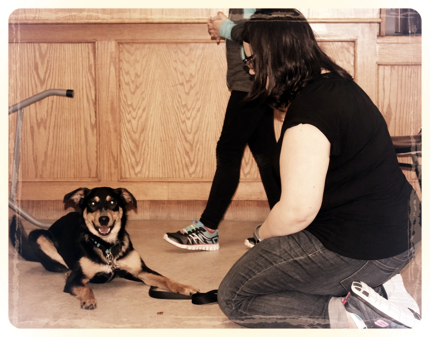 Modern classes are full of smiling dogs.