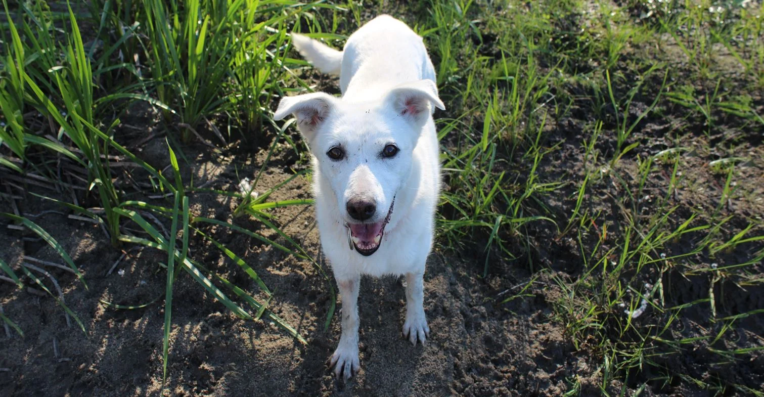 Just Walk Beside Me and Be My Friend