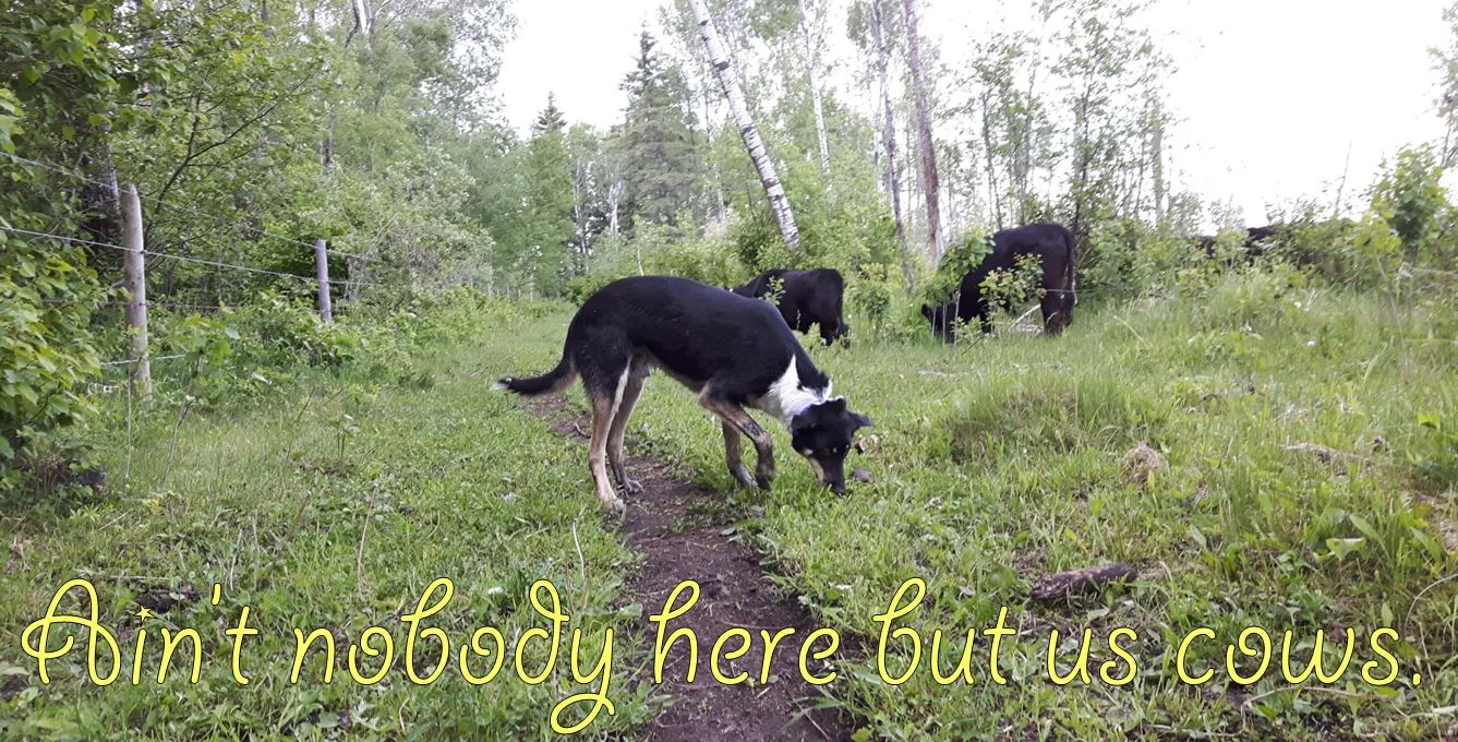 Everything Gets Boring If You Do It Right