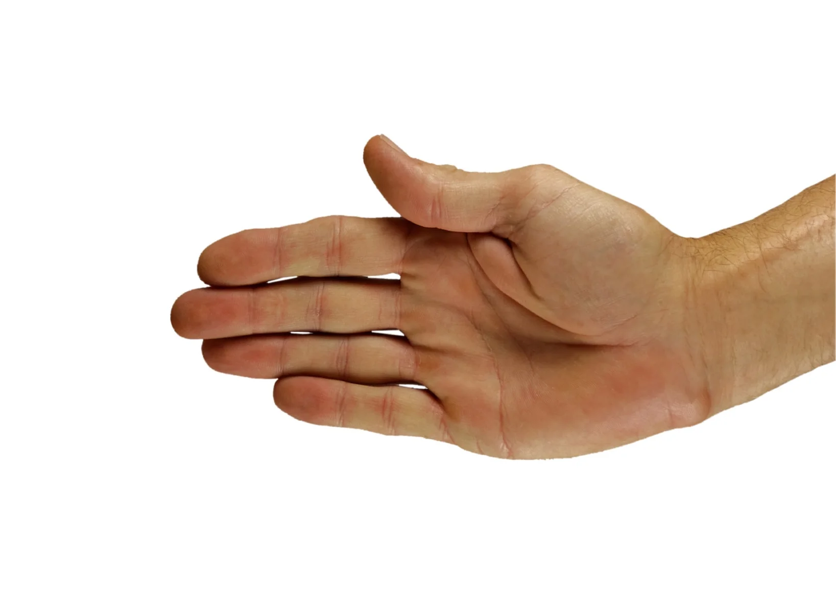 step two hand target hand.jpg