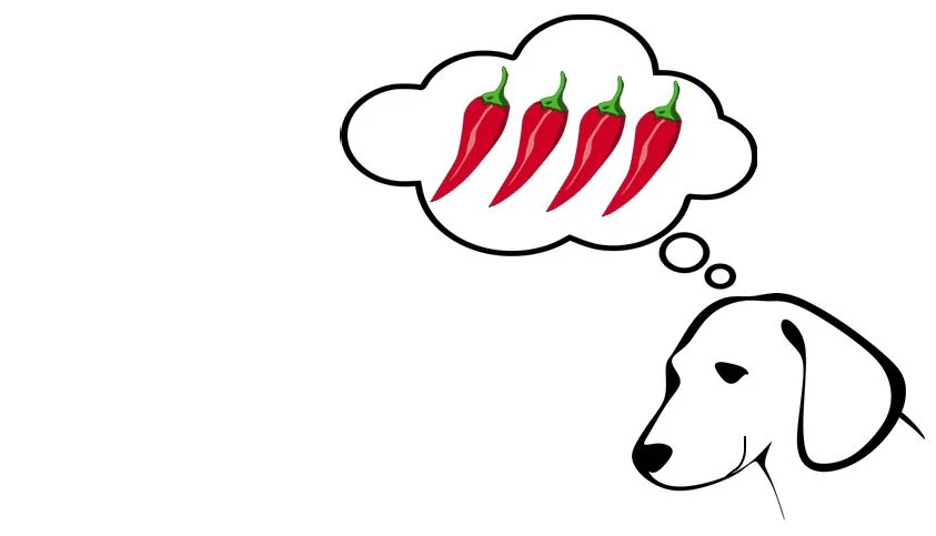 The Spice of Life: a whole new language for dogs with attitude