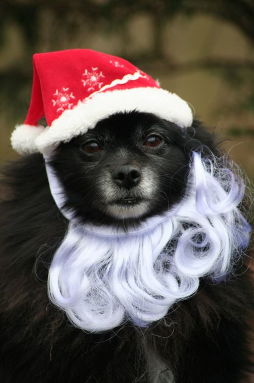 Closed mouth, a bit of squint in the slightly hard eyes. Get ready for a lump of coal, kids. Santa ain’t happy.
