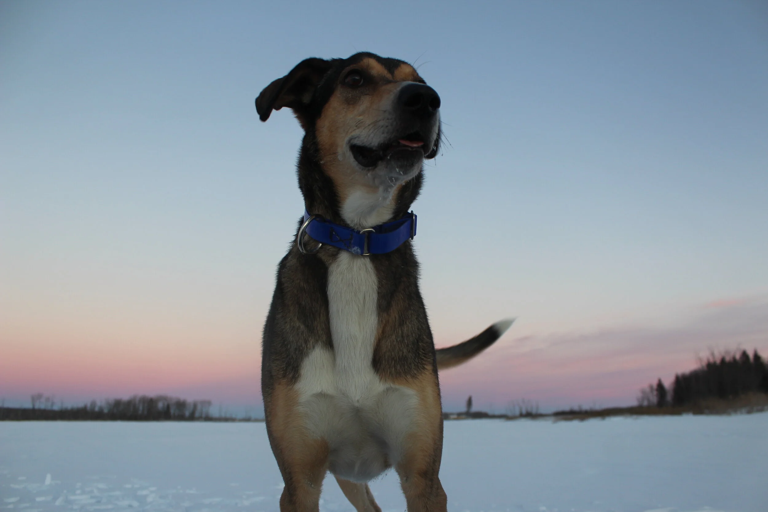 First, Meet Their Needs