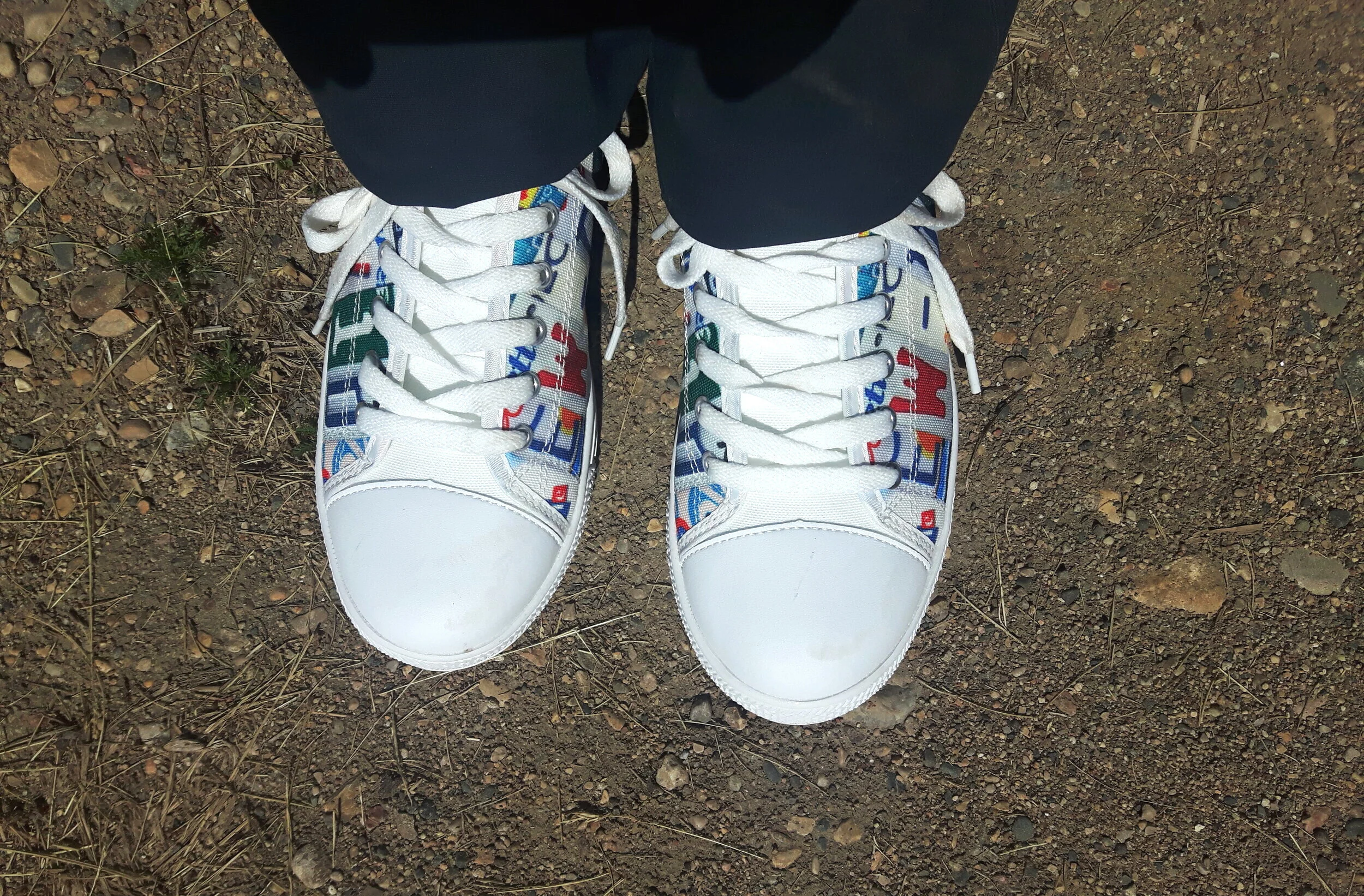New Shoes: How to Harness the Power Of Novelty For A Happier Dog