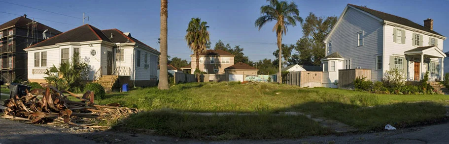 New_Orleans_LA_Dead_Palm_Tree_2008.jpg