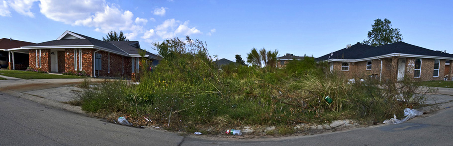 New_Orleans_LA_Overgrown_Lot_Between_Homes_2008.jpg