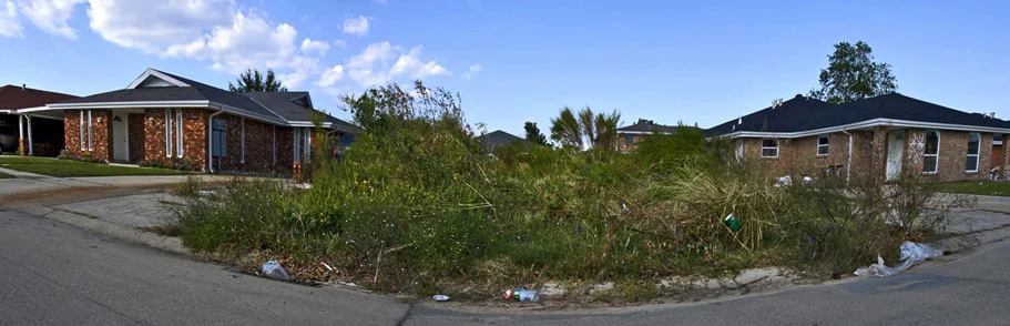 New_Orleans_LA_Overgrown_Lot_Between_Homes_2008.jpg