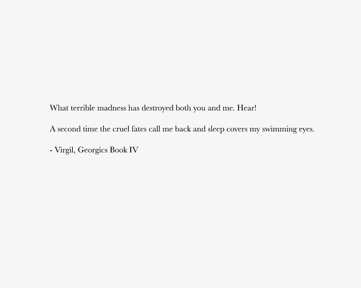Virgil-Swimming-Eyes-Quote.jpg