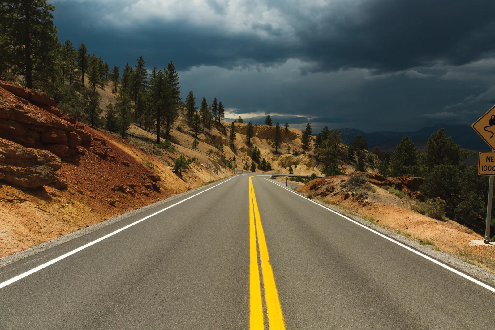 Road Trip Trolls-28 copy.jpg