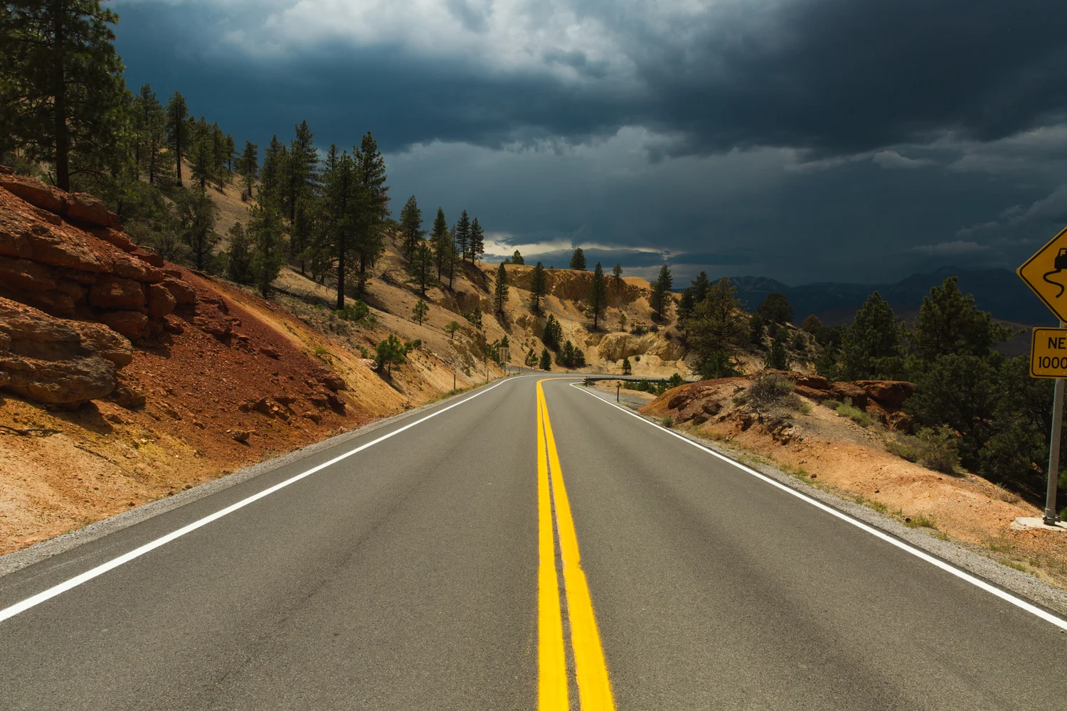 Road+Trip+Trolls-28.jpg
