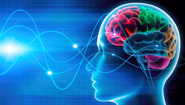 Brain-598x342.png